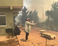 İstanbul Beykoz’da orman yangını