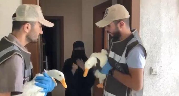 Sosyal medyada gündem olmuştu: Iraklı kardeşlerin gölete bırakmak istediği ördekler korumaya alındı