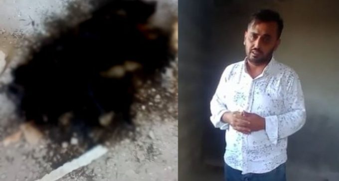 Korkunç iddia: “Hatay’da 12 yavru köpek yakılarak öldürüldü”