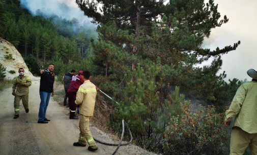 Kütahya’daki orman yangını sürüyor: Tahliyeler başladı