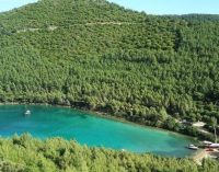 Danıştay iptal etmişti: Mehmet Cengiz, Cennet Koyu’na 100 villa ve bir otel dikiyor
