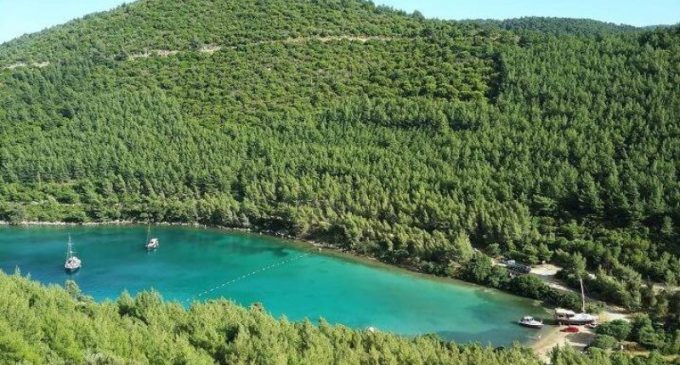 Danıştay iptal etmişti: Mehmet Cengiz, Cennet Koyu’na 100 villa ve bir otel dikiyor