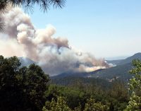 Balıkesir’de orman yangını: Rüzgarın etkisiyle yayıldı