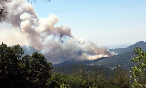 Balıkesir’de orman yangını: Rüzgarın etkisiyle yayıldı