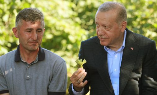 Erdoğan duyurdu: Fındık alım fiyatı belli oldu