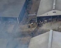 Bergama’da da yangın: Alevler bölgedeki süt fabrikasına sıçradı!