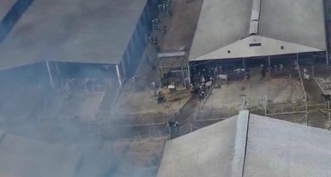 Bergama’da da yangın: Alevler bölgedeki süt fabrikasına sıçradı!