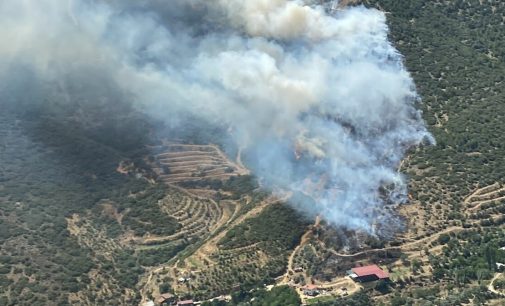 İzmir’de iki ayrı bölgede orman yangını