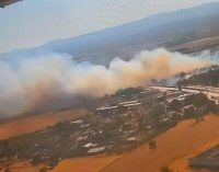 İzmir Gaziemir’de ormanlık alanda yangın çıktı