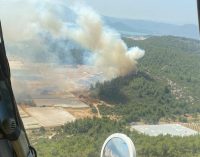 İzmir’de serada çıkan yangın, ormana sıçradı