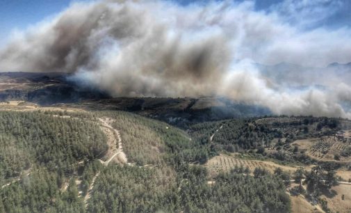 Manisa’da da orman yangını: Alevler rüzgarın etkisiyle büyüdü