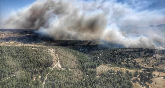 Manisa’da da orman yangını: Alevler rüzgarın etkisiyle büyüdü