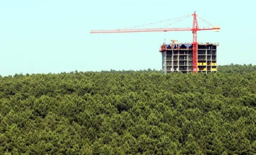 Resmi Gazete’de yayımlandı: 28 ormanlık alan otel yapımı için ihaleye açıldı!