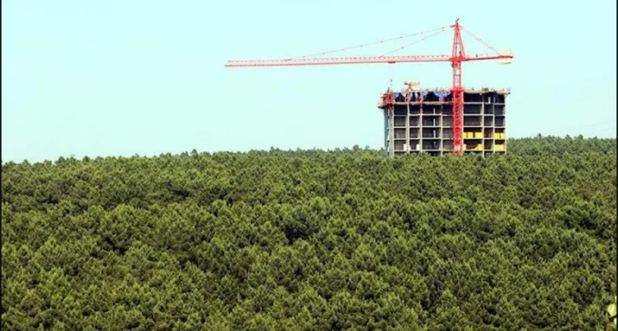 Resmi Gazete’de yayımlandı: 28 ormanlık alan otel yapımı için ihaleye açıldı!