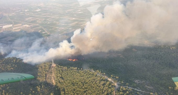 Söke’de orman yangını: Rüzgarın etkisiyle hızla yayılıyor