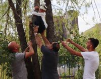 Sünnet olmaktan korkan çocuk, ağaca tırmandı