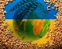 Resmen duyuruldu: Ukrayna’dan tahıl yüklü ilk gemi bugün yola çıkıyor