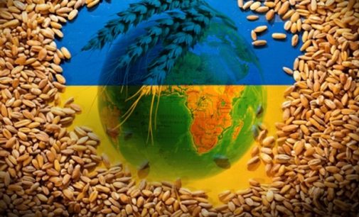 Rusya tahıl koridoru anlaşmasının iki ay daha uzatılmasına yeşil ışık yaktı