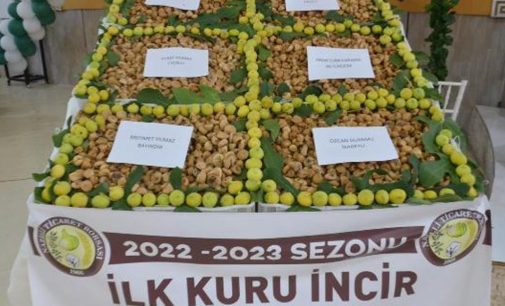 Nazilli’de sezonun ilk kuru inciri satıldı: Kilosu 400 lira
