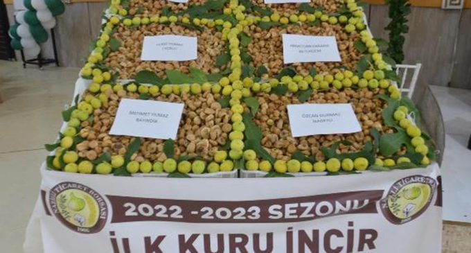 Nazilli’de sezonun ilk kuru inciri satıldı: Kilosu 400 lira