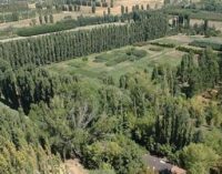 Atatürk Orman Çiftliği, “Beştepe Millet Ormanı”na dönüştürülmeye cüret ediliyor