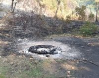 Hurdacıların “bakır kablo” için yaktığı ateş ormanı tutuşturdu