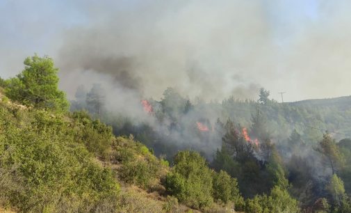 Manisa’da orman yangını: Havadan ve karadan müdahale sürüyor