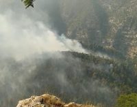 Mersin’de orman yangını dördüncü günde kontrol altına alındı: 15 hektarlık alan kül oldu!