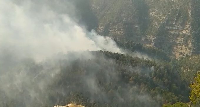 Mersin ve Muğla’da orman yangınlarına müdahale sürüyor
