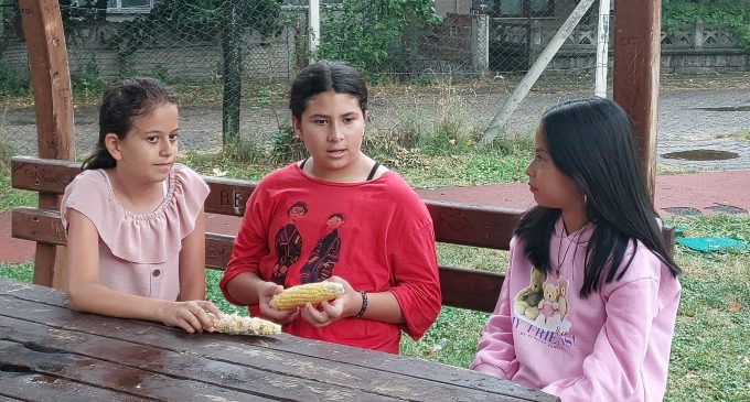 Villasının bahçesinden mısır koparan üç kız çocuğunu darp etti