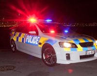 Bavullardaki çocuk cesetleri: Yeni Zelanda polisi gizemi çözmeye çalışıyor