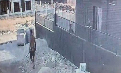 Adana’da vahşet: Yavru köpeği silahla öldürdü