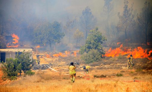 Mersin’de orman yangını: Alevler rüzgarın etkisiyle büyüdü, 110 ev boşaltıldı