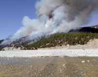 Denizli’de orman yangını: Havadan ve karadan müdahale başladı