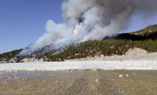 Denizli’de orman yangını: Havadan ve karadan müdahale başladı
