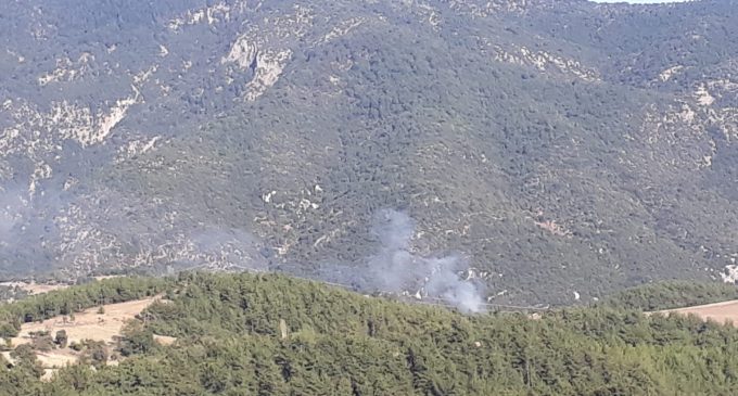 Adana’nın iki ilçesinde orman yangını