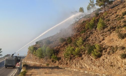 Mersin orman yangını: İkinci gününde kontrol altına alındı