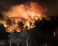 Muğla’da orman yangını: Söndürme çalışmaları sabaha dek sürdü