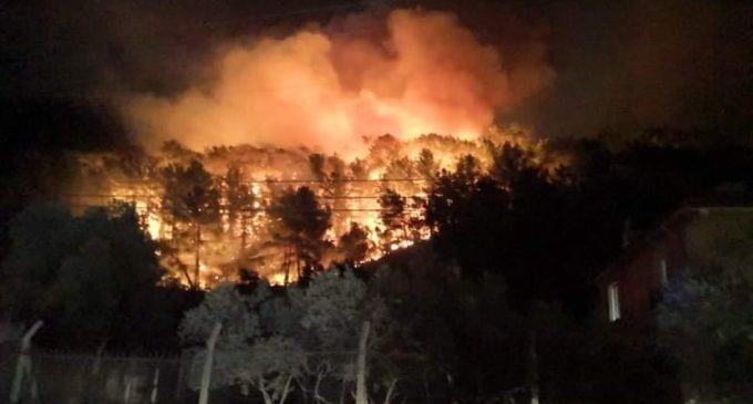Muğla’da orman yangını: Söndürme çalışmaları sabaha dek sürdü