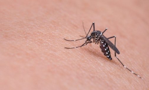 Prof. Kadıoğlu: Sivrisineklerde artış var