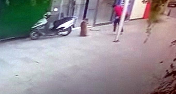 Bodrum’da bir şahıs sokak köpeğini bıçakladı
