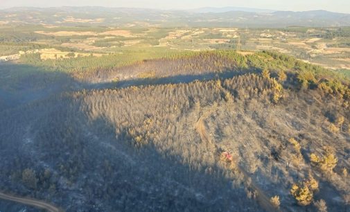 Soma’daki orman yangını 16 saatte kontrol altına alındı: 60 hektar alan kül oldu