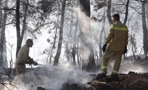 İzmir’de tütsü yapan arıcı ormanı yaktı: Yasal işlem başlatıldı