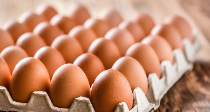 Yumurtaya yeni zam: Kolisi 100 liraya dayandı