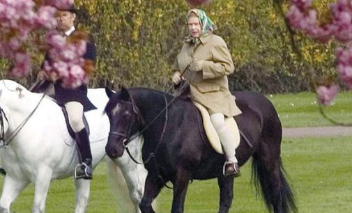 İngiltere Kralı 3. Charles, annesinin atlarını satışa çıkardı