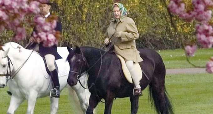 İngiltere Kralı 3. Charles, annesinin atlarını satışa çıkardı