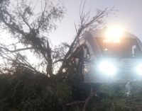 Manisa’da rayların kenarındaki ağaç, geçişi sırasında trenin üzerine devrildi