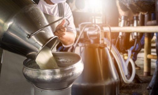 TÜİK verileri: Süt üretimi azalıyor… İşte en yeni rakamlar…