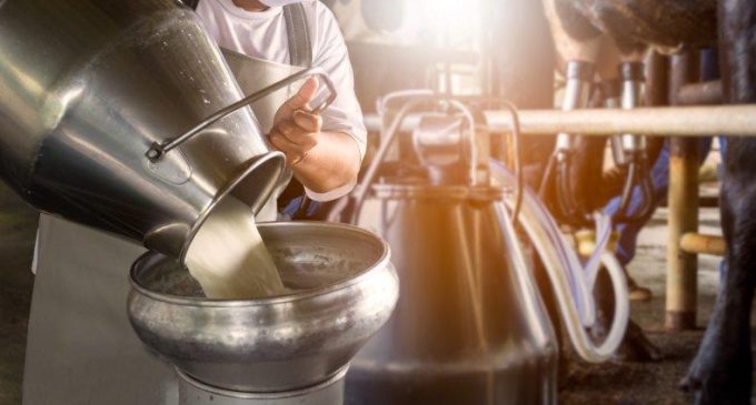 TÜİK verileri: Süt üretimi azalıyor… İşte en yeni rakamlar…