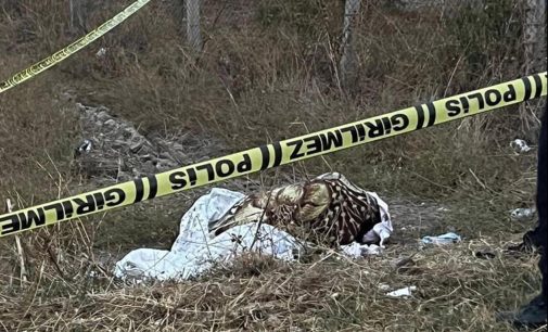 Yol kenarında elleri bağlı battaniyeye sarılı kadın cesedi bulundu